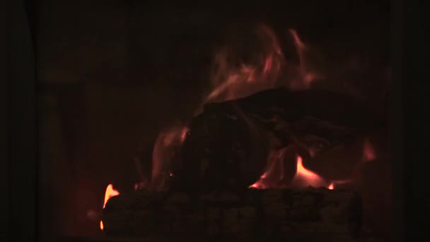 Колода Горить Каміні Природного Опалення — стокове відео