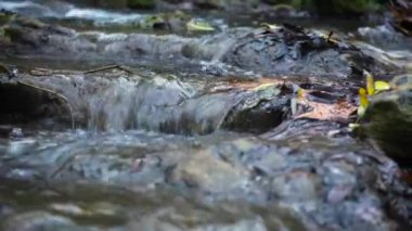 Cotignac, Provence, Fransa 'da sonbahar mevsiminde Arjans Nehri' nden Şelale gezisi