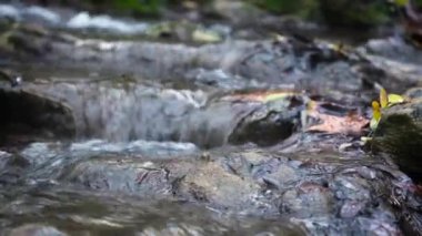 Cotignac, Provence, Fransa 'da sonbahar mevsiminde Arjans Nehri' nden Şelale gezisi