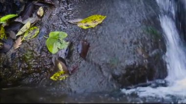 Cotignac, Provence, Fransa 'da sonbahar mevsiminde Arjans Nehri' nden Şelale gezisi