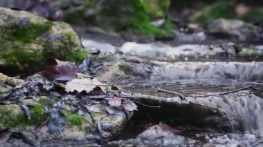Cotignac, Provence, Fransa 'da sonbahar mevsiminde Arjans Nehri' nden Şelale gezisi