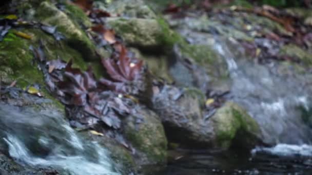 Cestování Vodopádu Detail Řeky Argens Období Podzimu Cotignac Provence Francie — Stock video