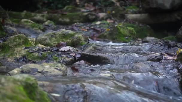 Voyager Des Détails Cascade Rivière Argens Saison Autunm Cotignac Provence — Video