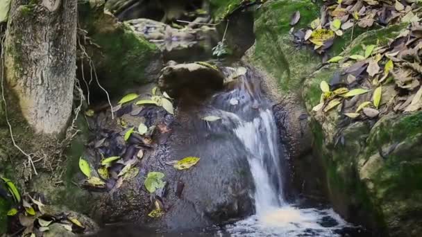 在法国普罗旺斯科蒂尼亚茨的奥通姆季节从阿根廷河流出发的瀑布之旅 — 图库视频影像