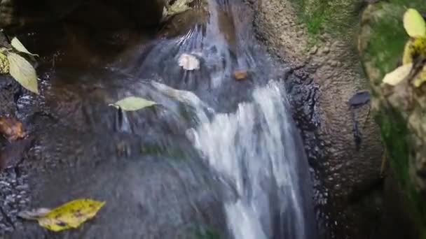 Reisen Von Wasserfall Detail Vom Fluss Argens Der Herbstsaison Cotignac — Stockvideo