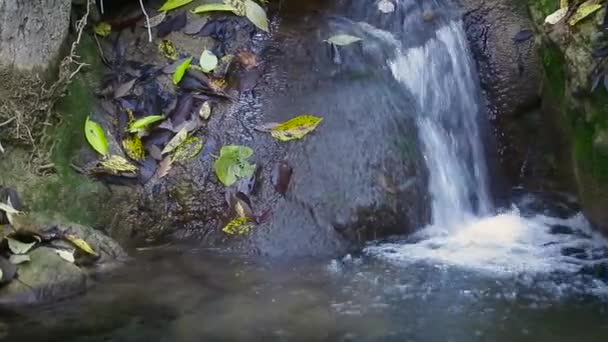 Travelling Waterfall Detail Argens River Autunm Season Cotignac Provence France — Stock Video