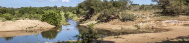 Güney Afrika 'daki Kruger Ulusal Parkı' nda Sabie Nehri Panoramisi