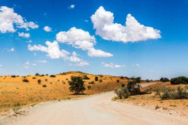 Güney Afrika 'daki Kgalagadi sınır ötesi parkında çöl kırmızı safarisi yolu.