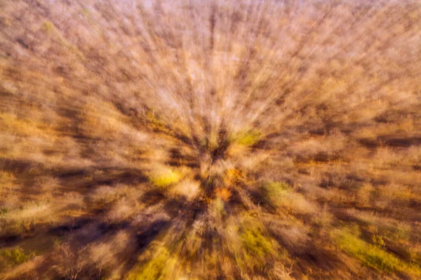 Abstrakter Zoomeffekt Aus Dem Busch Kruger Nationalpark Südafrika — Stockfoto