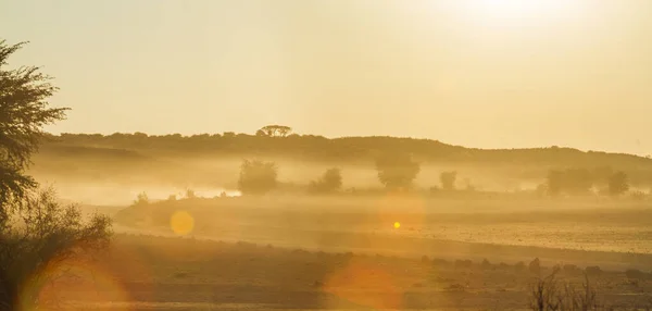 Krajobraz Zachody Słońca Parku Transgranicznym Kgalagadi Rpa — Zdjęcie stockowe