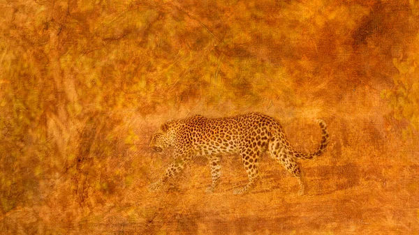 Léopard Images Multiples Avec Toile Fond Peinture Huile Espèce Panthera — Photo