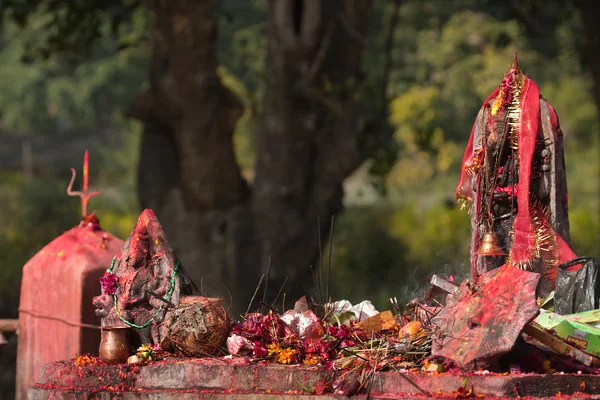 Opfergabe im hinduistischen Tempel in Nepal während des Maggie-Festivals, Bardia, Nepal — Stockfoto