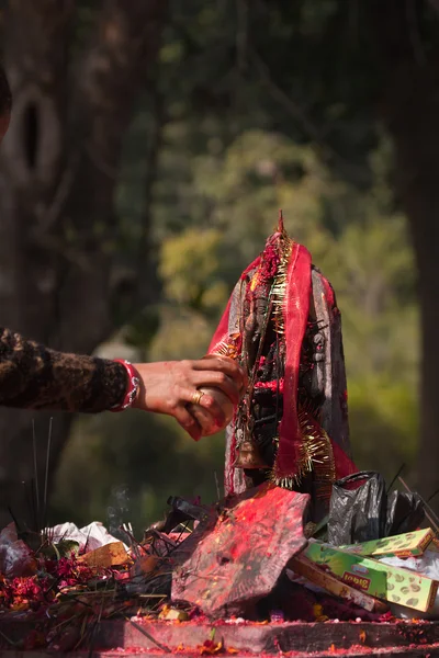 Предложение в индуистском искушении в Непале во время фестиваля Maggy, Бардия, Непал — стоковое фото