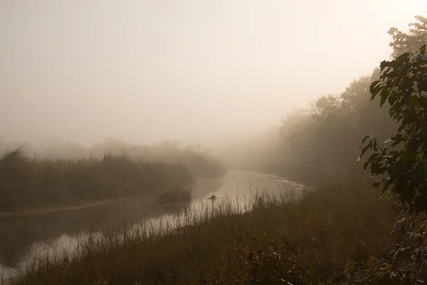 在尼泊尔丛林河雾的早晨 — 图库照片
