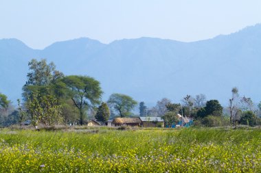 Terai, Bardia, Nepal uzak bölgede