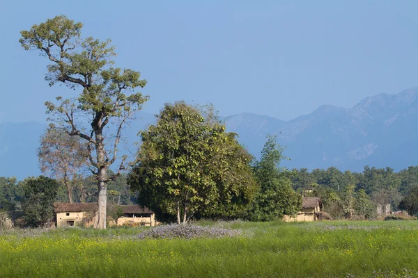 Zona remota en Terai, Bardia, Nepal —  Fotos de Stock