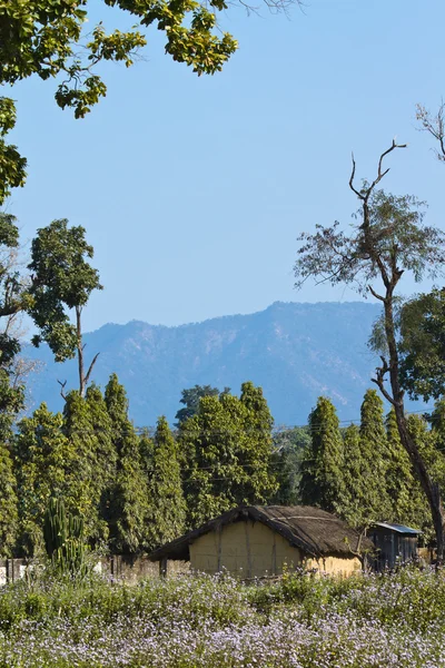 Remote area in Terai, Bardia, Nepal — Stock Photo, Image