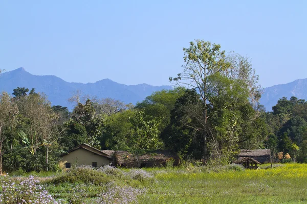 Remote area in Terai, Bardia, Nepal — Stock Photo, Image