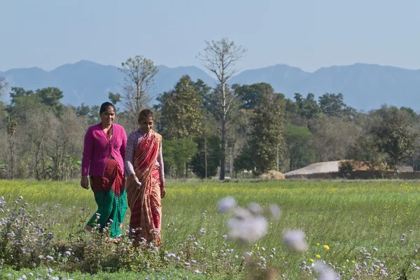 Mujeres Tharu caminando en el campo en Bardia, Nepal — Foto de Stock