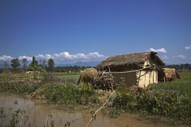 Terai, Nepal evlerde geleneksel taru