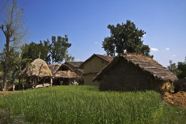 Traditional taru houses in Terai, Nepal — Stock Photo, Image