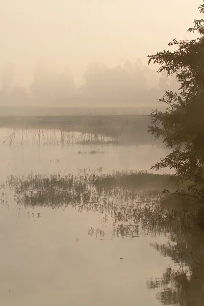 Morning time in terai's nepali lake — Stock Photo, Image