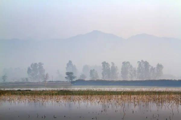 Dimmig morgon i Teraien sjö i Nepal — Stockfoto