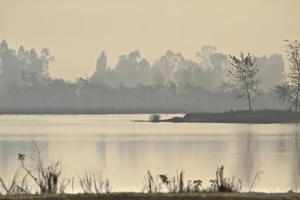 Morgon tid i teraiens nepali sjö — Stockfoto