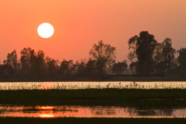 Nepal bataklıkta günbatımı