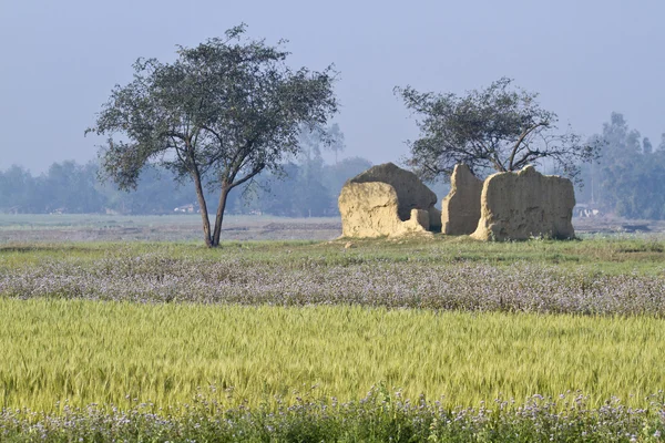 Adobe house ruins in middle of field in Nepal — Stock Photo, Image