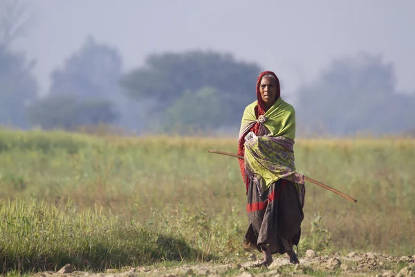 Oude tharu vrouw wandelen in Nepalees platteland — Stockfoto
