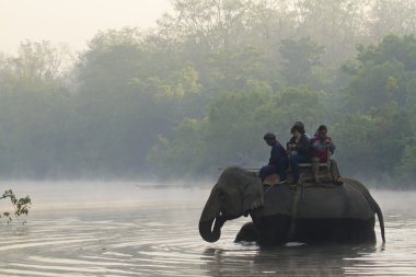 Bardia, Nepal, fil safari