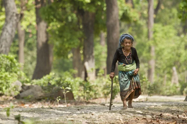 Donna tharu molto anziana che cammina nella giungla a Bardia, Nepal — Foto Stock