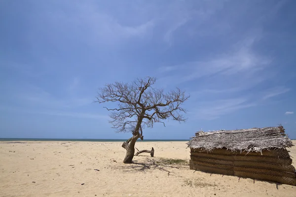 Issız beach ile balıkçılar kulübe Polmoddai, Sri Lanka — Stok fotoğraf