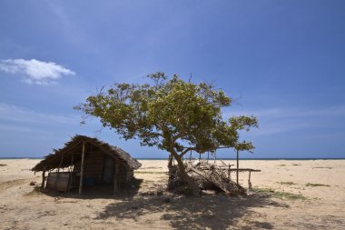 Issız beach ile balıkçılar kulübe Polmoddai, Sri Lanka