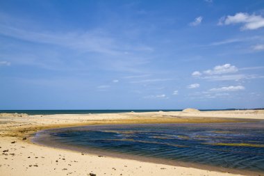 Kokkilai lagün, Sri Lanka