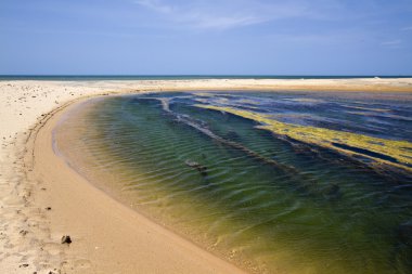 Kokkilai lagün, Sri Lanka