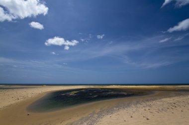 Kokkilai lagün, Sri Lanka