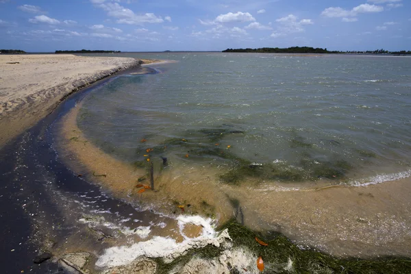 Lagoa de Kokkilai, Sri Lanka — Fotografia de Stock