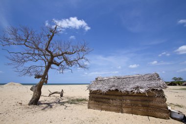 Issız beach ile balıkçılar kulübe Polmoddai, Sri Lanka