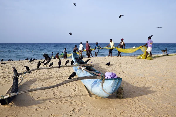 Scena di pesca tradizionale nello Sri Lanka orientale — Foto Stock