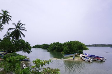 Batticaloa, Sri Lanka 'da doğa manzarası