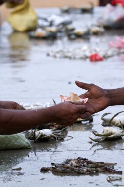 Sri Lanka balık pazarında değişimi