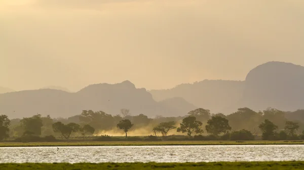 Wschód słońca w arugam zatoce lagoo, sri lanka — Zdjęcie stockowe