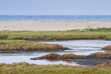 Arugam defne lagün manzara, Sri Lanka