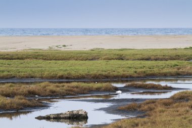 Arugam defne lagün manzara, Sri Lanka