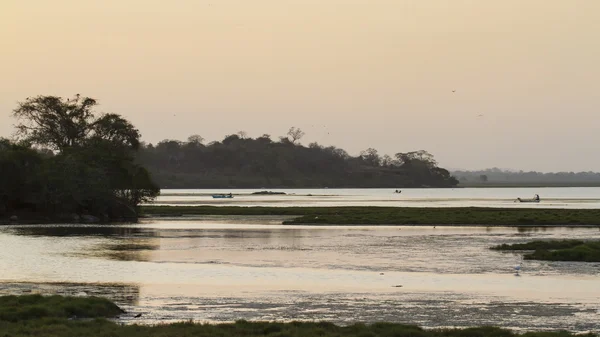 Arugam defne lagün doğa rezerv manzara Sri Lanka — Stok fotoğraf