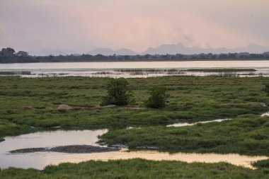 Arugam defne gölünde alacakaranlık, Sri Lanka