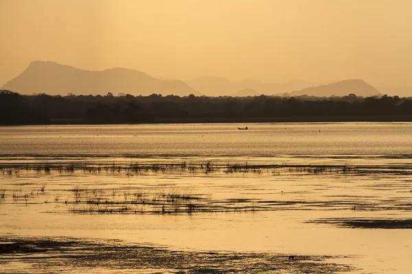 Träsket av Arugam bay lagoon, Sri Lanka — Stockfoto