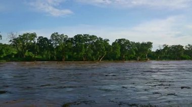 Güney Afrika 'daki Büyük Kruger Ulusal Parkı' nda yağmur mevsiminde Letaba Nehri yüzen kütüklerle dolup taşıyor.